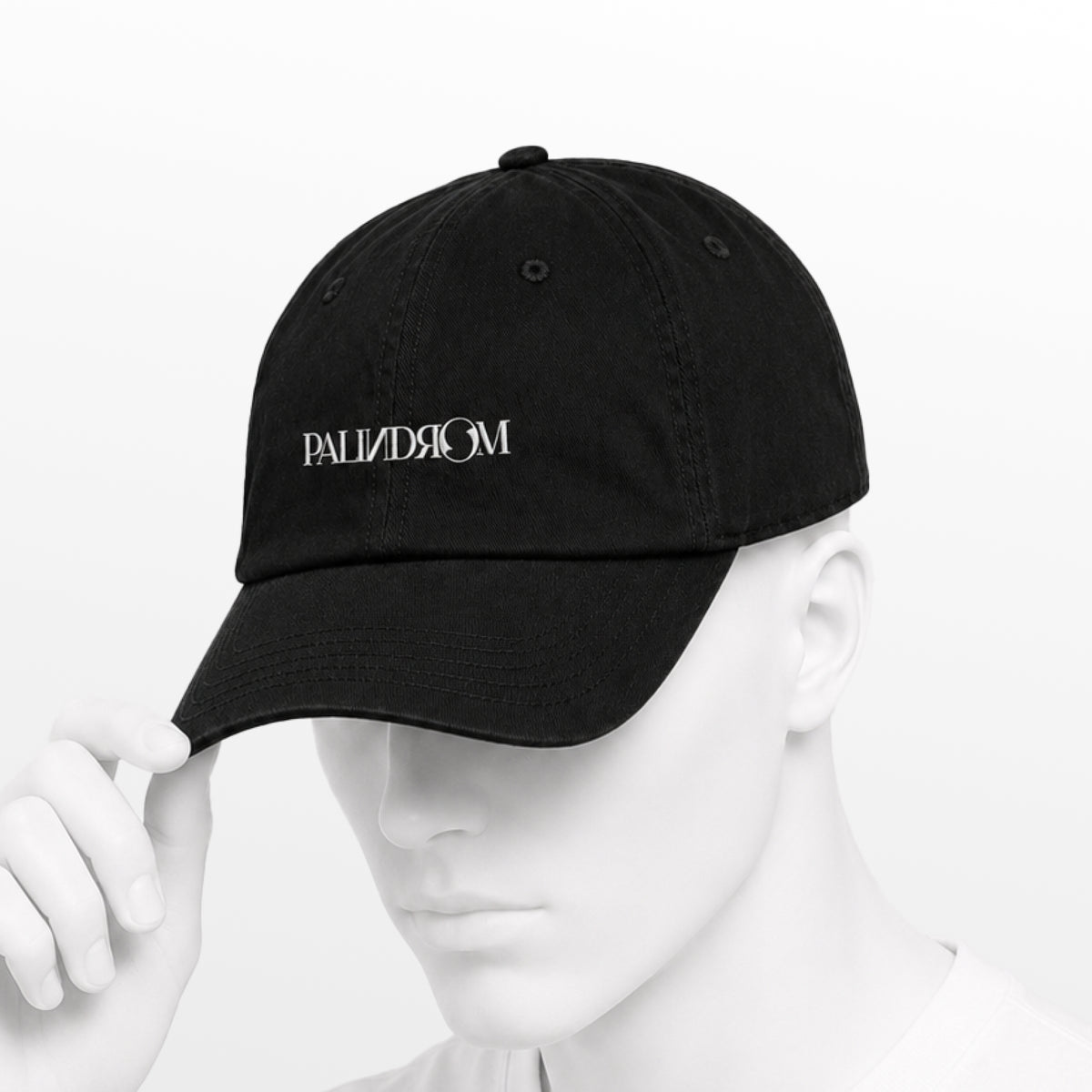 CAP 00 — PALINDROM Noir